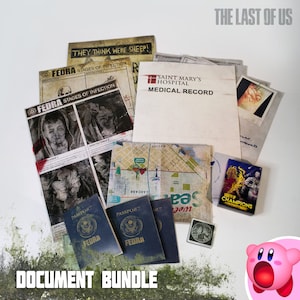 LOT DE DOCUMENTS The Last of Us Part II, nouveau fanmade