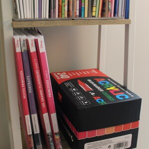 A white bookshelf with two shelves. The top shelf holds a collection of colorful books. The bottom shelf displays a set of Disney Princess books and a black box of acrylic brush markers with the word "ACRYLIC" in large, colorful letters.