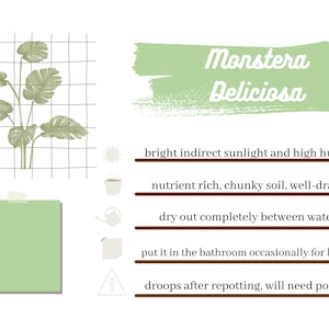 Minimal Green Plant Care Cards, Plant Care Journal, Plant Labels, Plant Care Guide, Plant Planner, Editable Template, 6x4 Inch Inserts