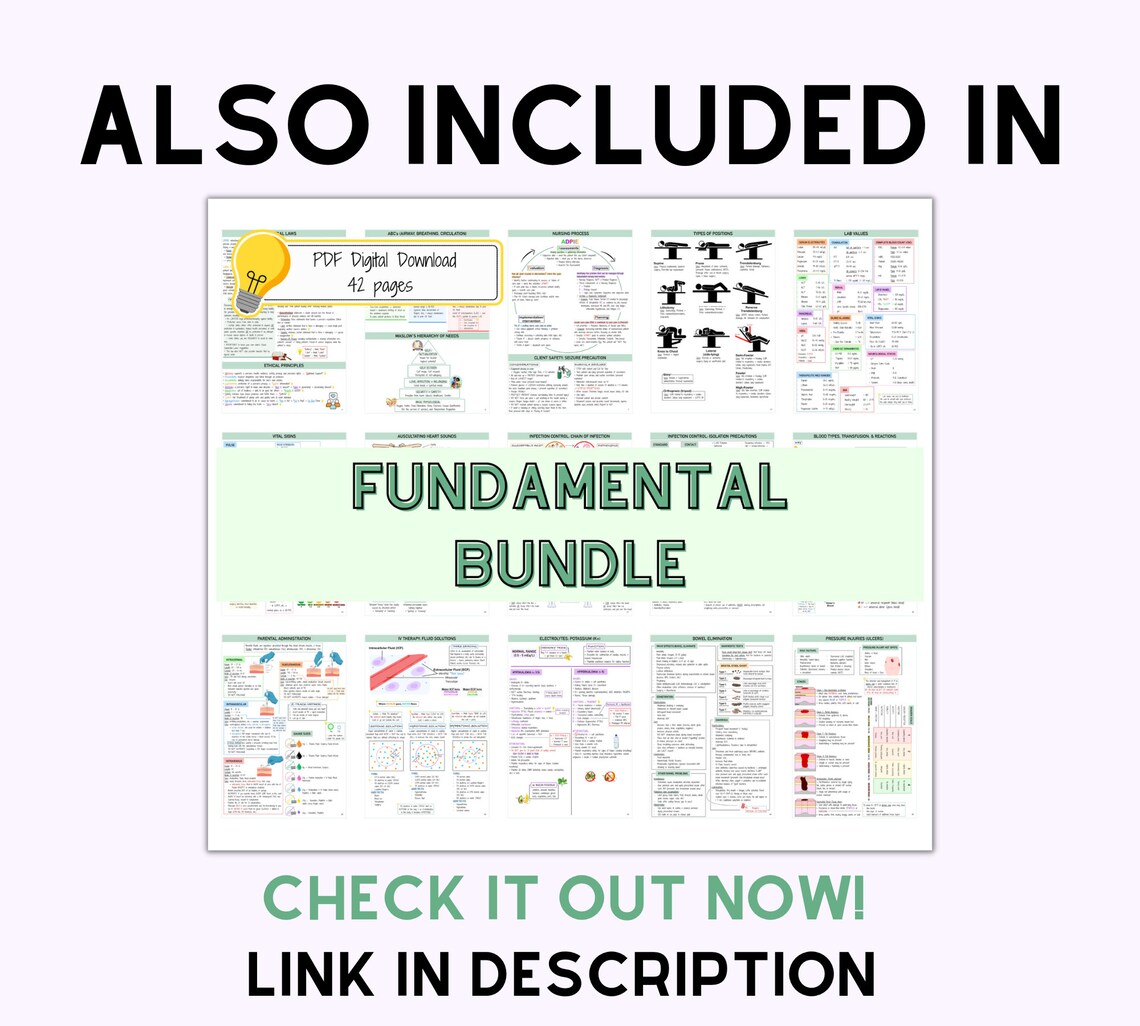 Auscultating Heart Sounds Nursing Notes Fundamental of - Etsy