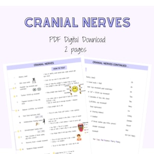 Hirnnerven, Neurologische Pflegenotizen, Krankenpflegestudienführer, Digitale Notizen, Med Surg Note, Medizinische chirurgische Notizen, Klinische Notizen, Spickzettel