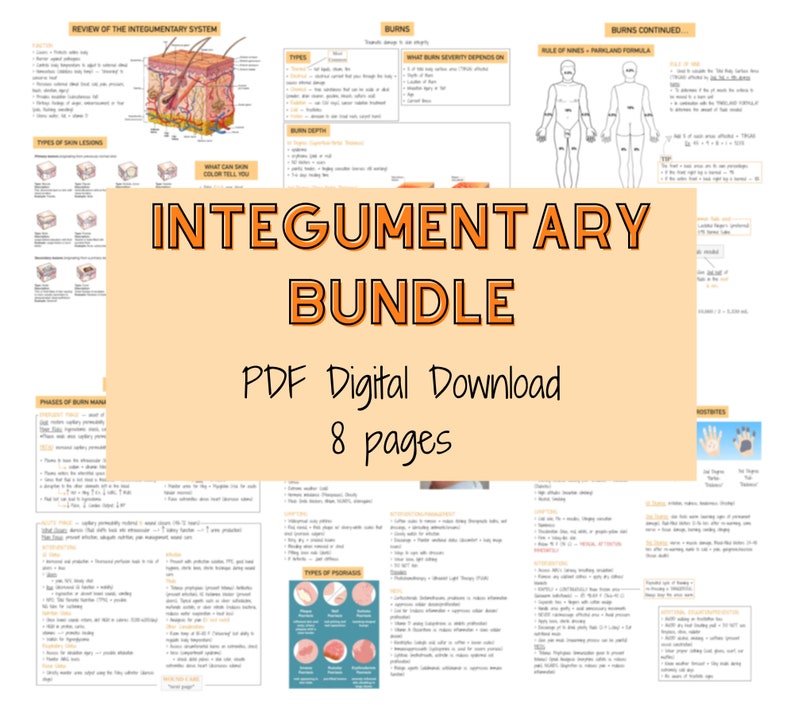 Integumentary Bundle Skin Disorders Burn Notes Med Surg Etsy