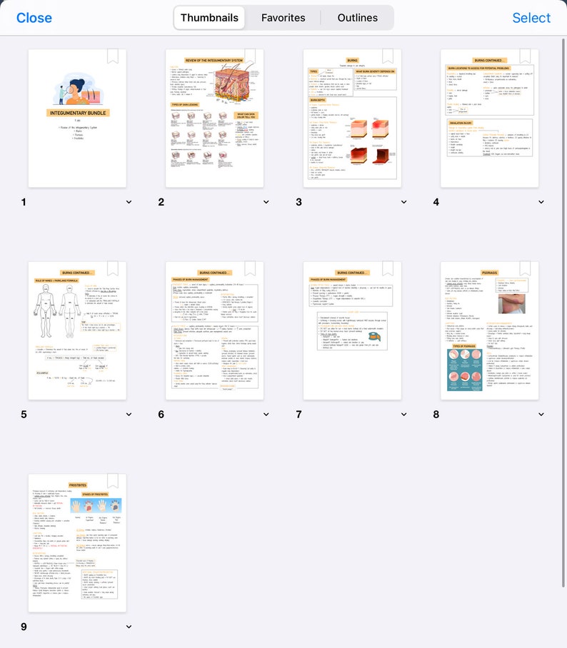 Integumentary Bundle Skin Disorders Burn Notes Med Surg Etsy