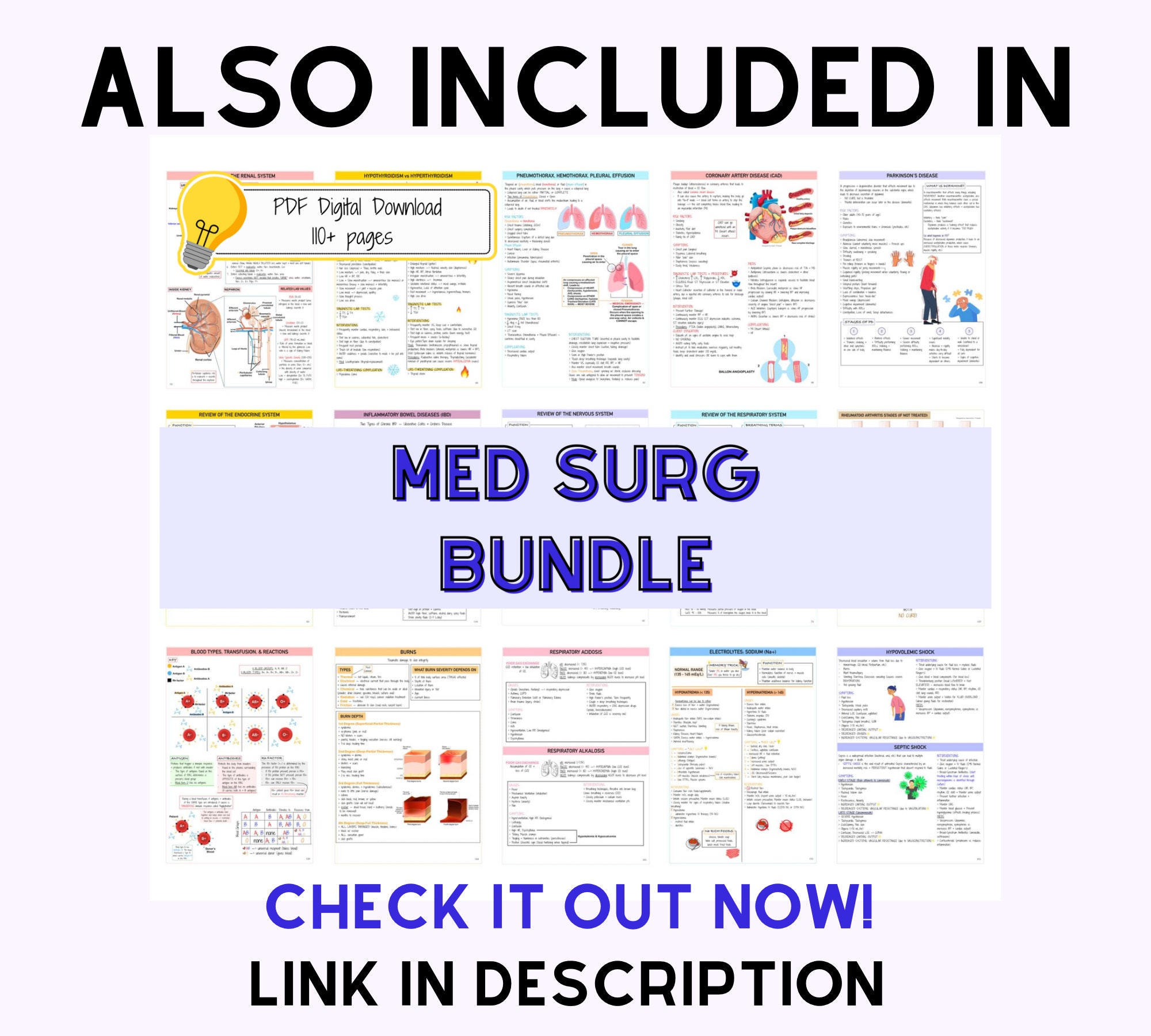 Integumentary Bundle Skin Disorders Burn Notes Med Surg Etsy