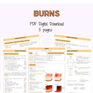 Burns Nursing Notes, Integumentary System, Burn Notes, Nursing Study Sheets, Nursing Study Guide, Digitale download, Klinische aantekeningen