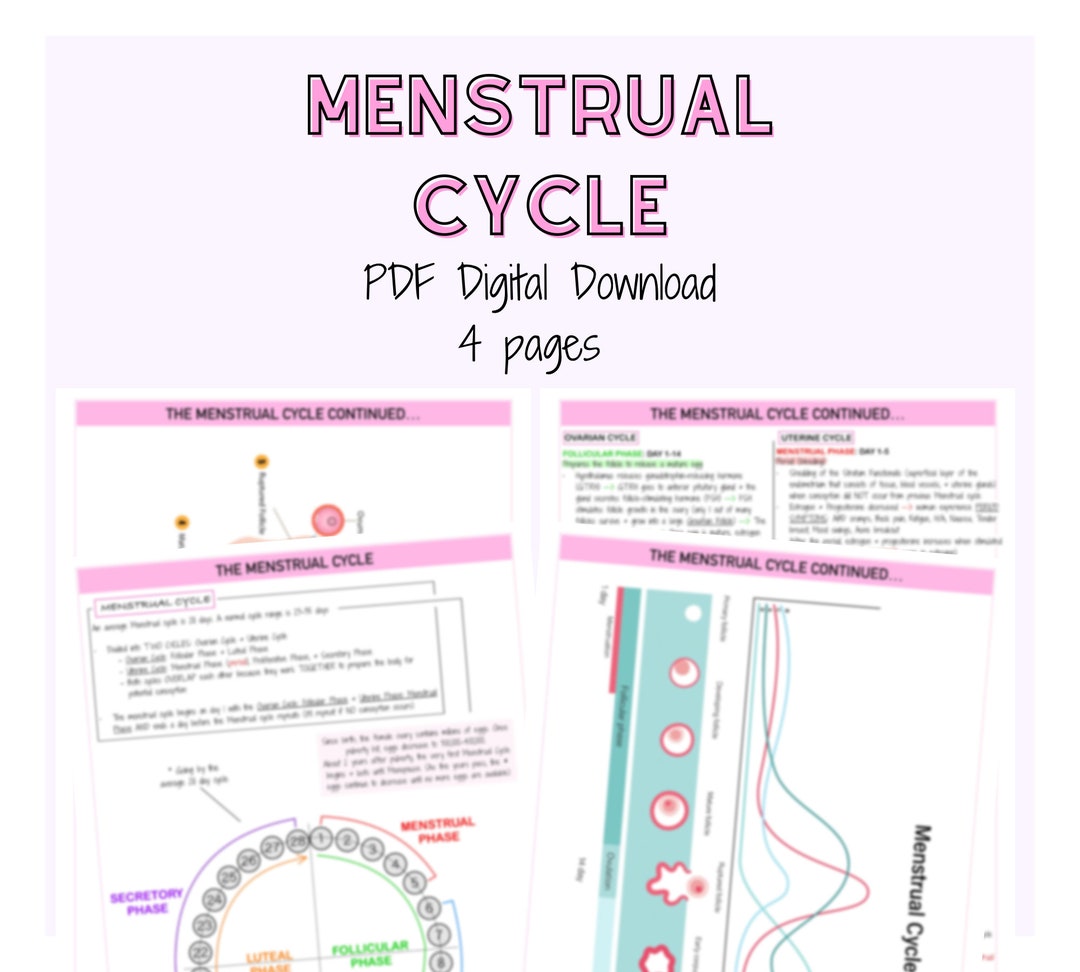 Menstrual Cycle Notes, Maternity Notes, Mother Baby, Nursing Study