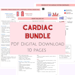Cardiac Bundle Notes, Nursing Study Guide, Med Surg Notes, Medical Surgical Notes, Cardiac System and Diseases