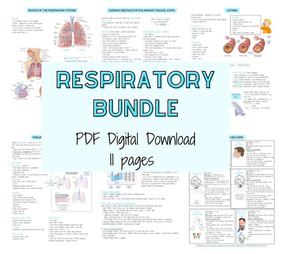 Respiratory System and Disease Med Surg Med Surg Nursing Etsy
