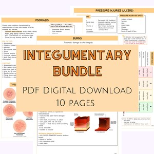 May include: A digital download bundle of 10 pages about integumentary conditions. The bundle includes information about psoriasis, burns, and pressure injuries. The image shows a colorful graphic with the title "Integumentary Bundle" and the text "PDF Digital Download 10 Pages".
