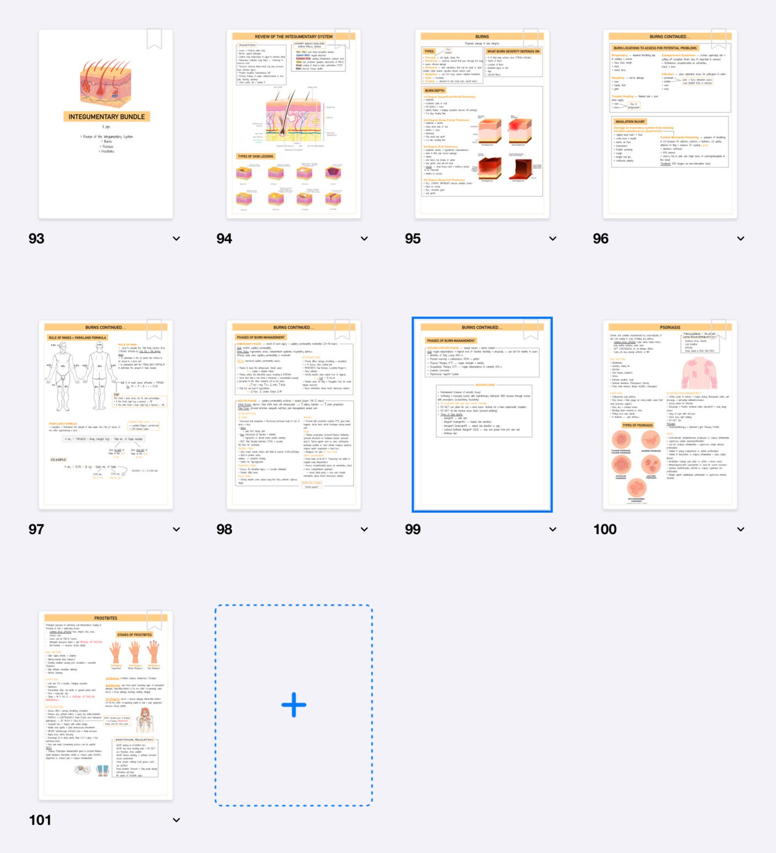 Integumentary Bundle Skin Disorders Burn Notes Med Surg Etsy