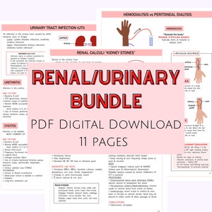 Könnte beinhalten: Eine farbenfrohe Infografik mit dem Titel "Renal/Urinary Bundle" auf rotem und weißem Hintergrund. Die Infografik enthält Illustrationen der Harnwege, der Nieren und der Blase. Der Text "PDF Digital Download 11 Pages" wird in großen, fetten Buchstaben angezeigt.