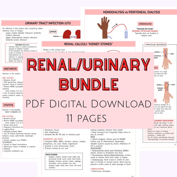 Renal/Urinary System & Diseases, Nursing Study Guides, nursing notes, nursing school, Medical Surgical, Med Surg nursing notes