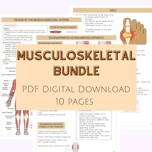 Muskel-Skelett-Bündel, Muskel-Skelett-Erkrankungen, Med Surg-Bundle, Med Surg-Pflegenotizen, Krankenpflege-Studienführer, Pflege-Bundles