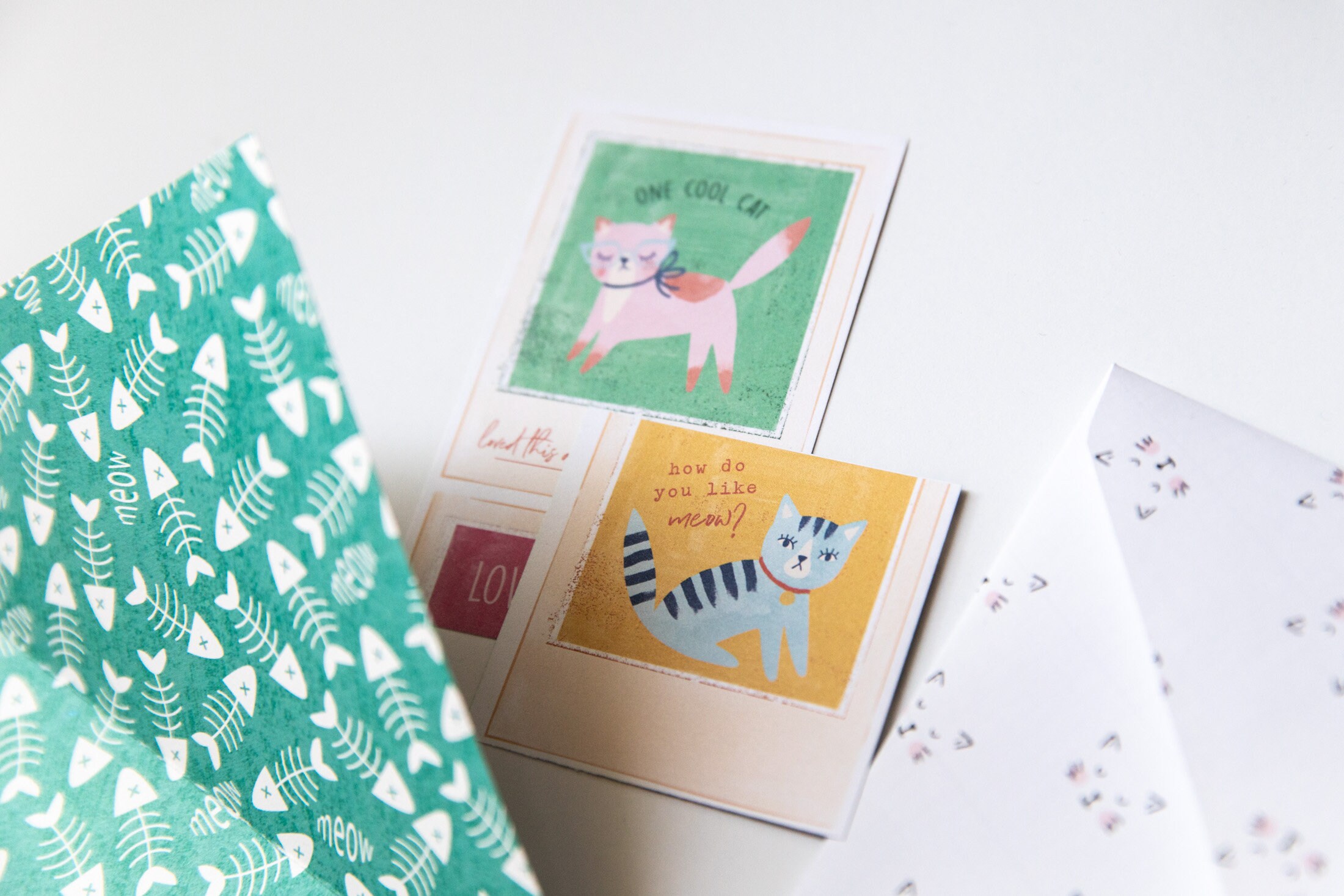 Cat Letter Writing Kit Stationery Set Snail Mail Kit – Paper Wilderness