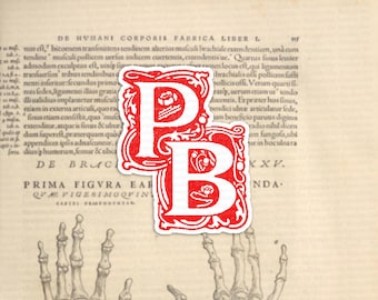 Adesivo com as iniciais de Phoebe PB, estilo vintage retrô, inspirado no Justiceiro e na personagem Pharb, ilustração medieval.