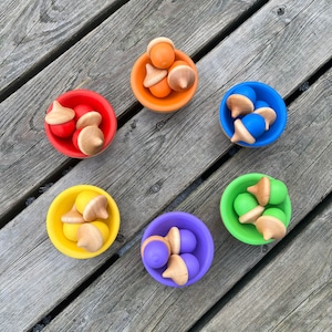May include: Six small, brightly coloured wooden bowls, each filled with wooden acorn toys. The bowls are red, orange, blue, yellow, purple, and green. The acorns have natural wood tops and painted bases. The bowls are arranged on a weathered wooden surface.
