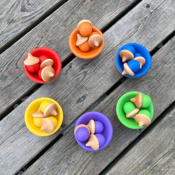 Wooden Acorn Sorting Set / Colour Sorting Acorns / Sorting Acorn / Counting Toy / Math Manipulatives / Toddler / Preschool Math / Wooden Toy