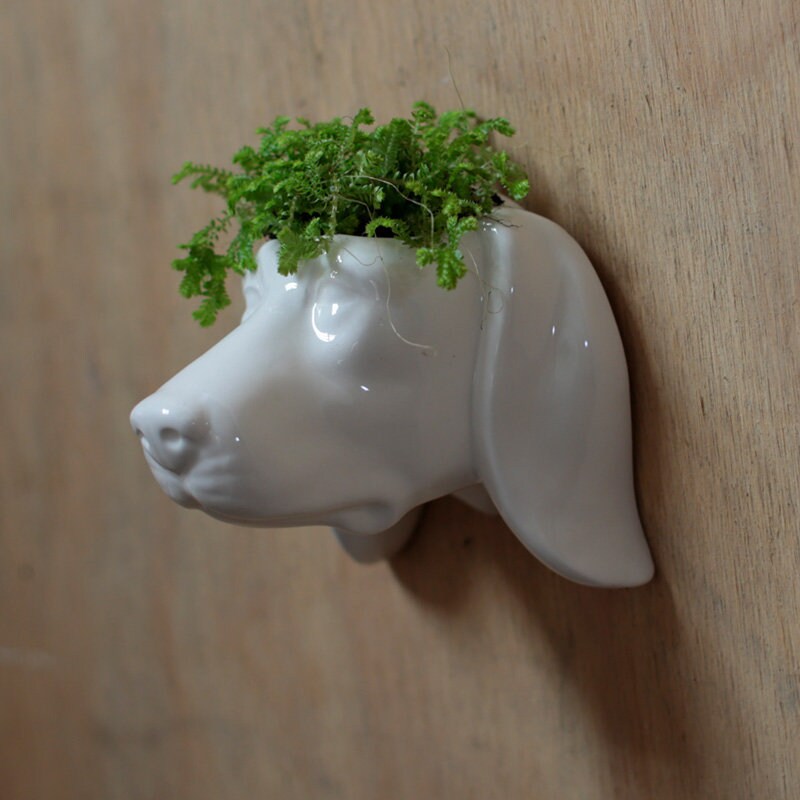 Decorative Ceramic Animal Wall Planter Face Planter Plant Pot Etsy
