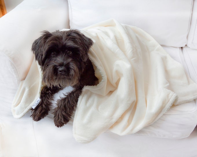 Isa & Ale, Pet Dog Fleece Blanket, Soft Dog Blanket, Pet Mat, Sleeping Bed - Cat Blanket, Cat Mat for Dogs, Pet Lover Gift Cream