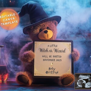 Wizard Digital Pregnancy Announcement, Magical Baby Announcement, Social Media Reveal, Little Wizard Baby on the Way, Gender Reveal Template