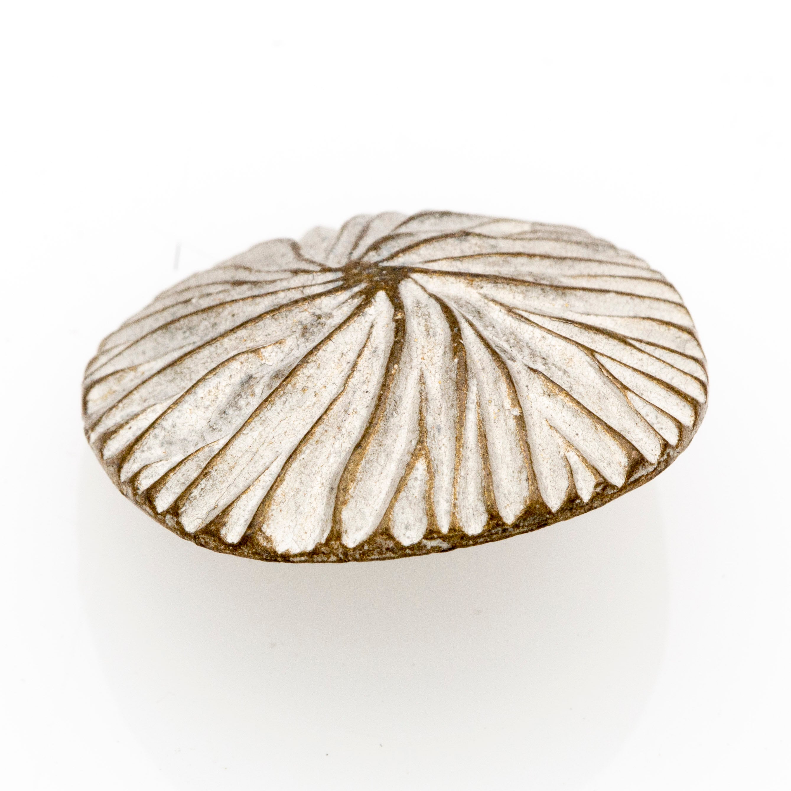 Shell Button Silver Seashell Metal Buttons (5pcs) - 33mm; Dark Silver/antique Brass Tin - Etsy