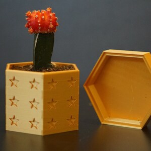 May include: A small, orange and green cactus plant in a hexagonal planter with a star pattern. The planter is made of a light brown material and has a matching lid.