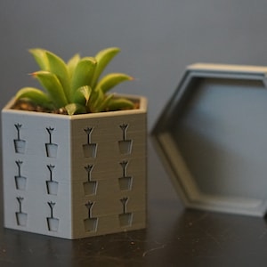 May include: A gray hexagonal planter with a small succulent plant inside. The planter has a repeating pattern of small plant silhouettes.
