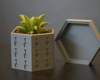 Pequeña olla de planta suculenta / tierra - abundantemente ROOTED Planter / biodegradable polímero planta pot / decoración moderna / regalos de calentamiento de la casa / yoga