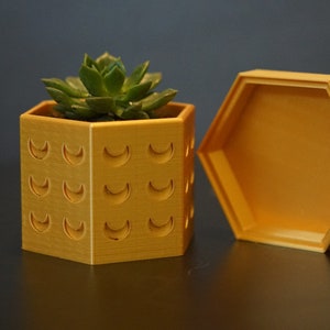 Op de afbeelding: Een gouden zeshoekige plantenbak met een vetplant erin. De plantenbak heeft een decoratief patroon van halve manen en wordt geleverd met een bijpassend deksel.