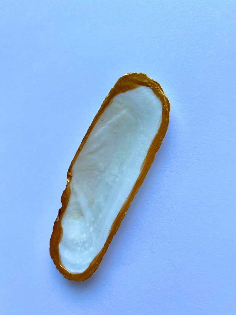 Shell Decorative Dish