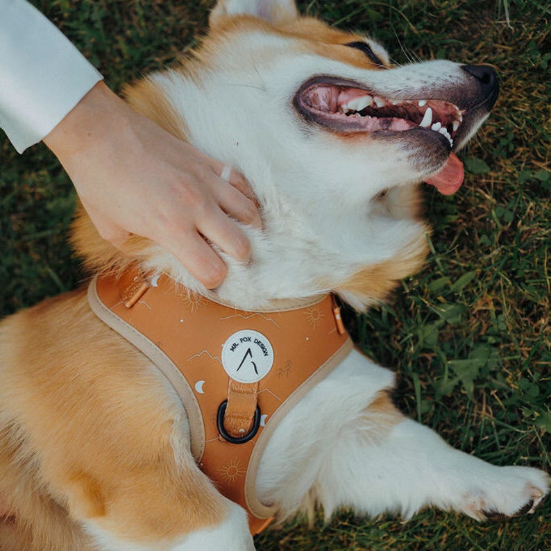 Dog Harness Tyrol SET with matching poop bag holder. Adjustable everyday chest harness for pets in orange with mountain & adventure scene image 3