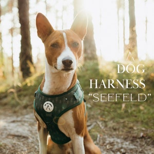 Dog Harness "Seefeld". Adjustable chest harness for pets in deep green forest print. Everyday harness with matching poop bag holder upgrade.
