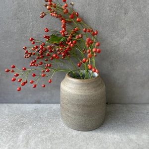 Könnte beinhalten: Eine kleine, zylindrische Keramikvase mit matter, gesprenkelter beiger Oberfläche. In der Vase befindet sich ein zarter, verzweigter Stängel, der mit zahlreichen kleinen, runden, leuchtend roten Beeren und einem einzelnen grünen Blatt besetzt ist.