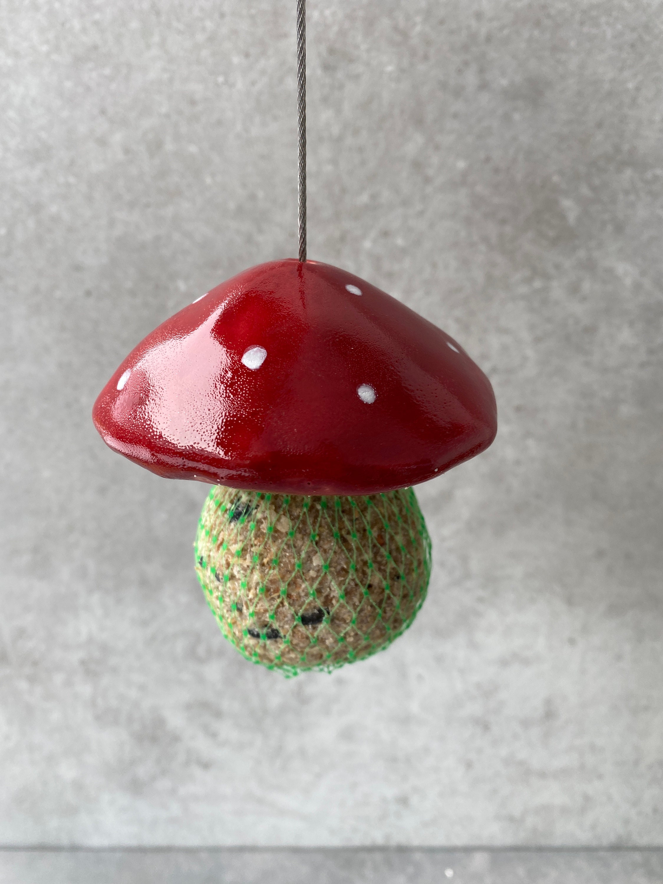 Porte-Boulettes, Agaric Alimentaire, à Mouches, Mangeoire Oiseaux, Distributeur de Nourriture