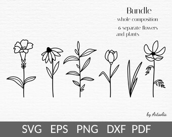 May include: A set of six black and white line drawings of flowers and plants. The drawings are simple and elegant, and they would be perfect for use in a variety of projects, such as greeting cards, invitations, or home decor.