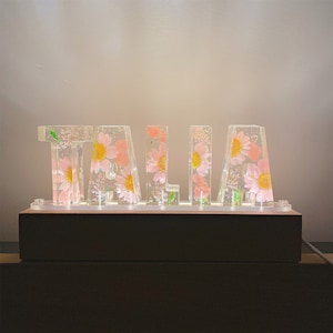 Luz de color de flor real de flor prensada personalizada, luz de noche de resina hecha a mano, regalo de cumpleaños de Navidad de Halloween para ella, para mascota él