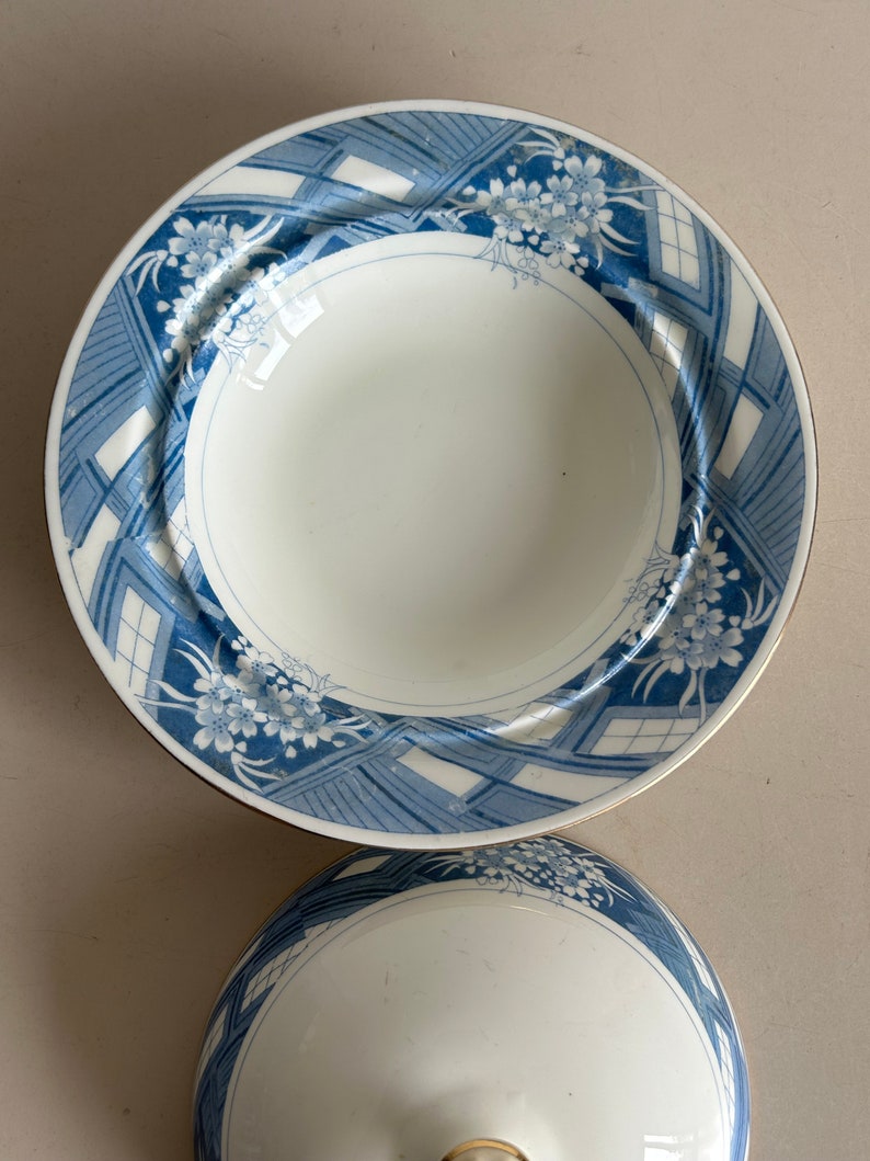 Może przedstawiać: Biała ceramiczna miska do serwowania z niebiesko-białym wzorem kwiatowym. Miska ma pokrywkę z pasującym wzorem.