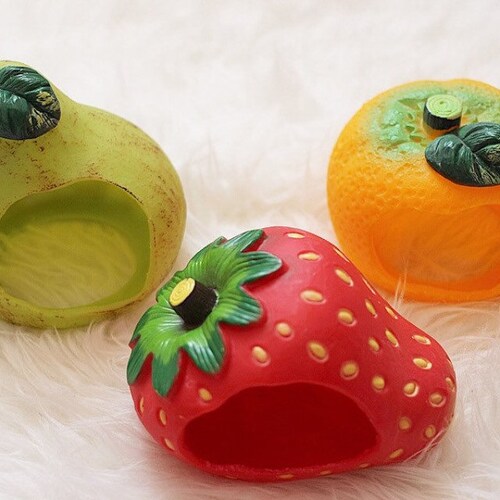 Fruit Hamster Hideout Toys Hide Hamsters Etsy Canada