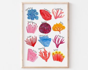 Types of Corals Poster | Ocean Art Print | Marine Life Art | Beach House Decor | Bathroom Print | Sea Life Nursery