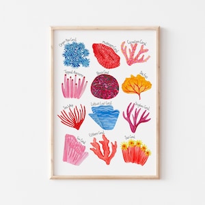 Arten von Korallen Poster | Kunstdruck | Meerestiere Kunst | Strand Haus Dekor | Badezimmer Druck | Kinderzimmer