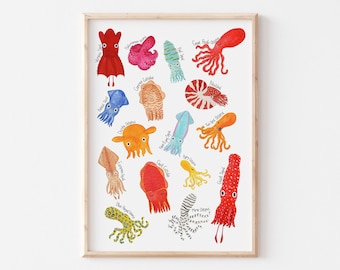 Cephalopod Poster Art Print | Sealife Wall Art | Marine Life Decor for Nursery or Bedrooom