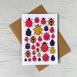 Collection de coccinelles | de voeux de coccinelle | insecte de jardin de Zazzle.be Liste d'envies Vous avez des idées ? carte scarabée | carte d'anniversaire | de remerciements | Cartes faites main