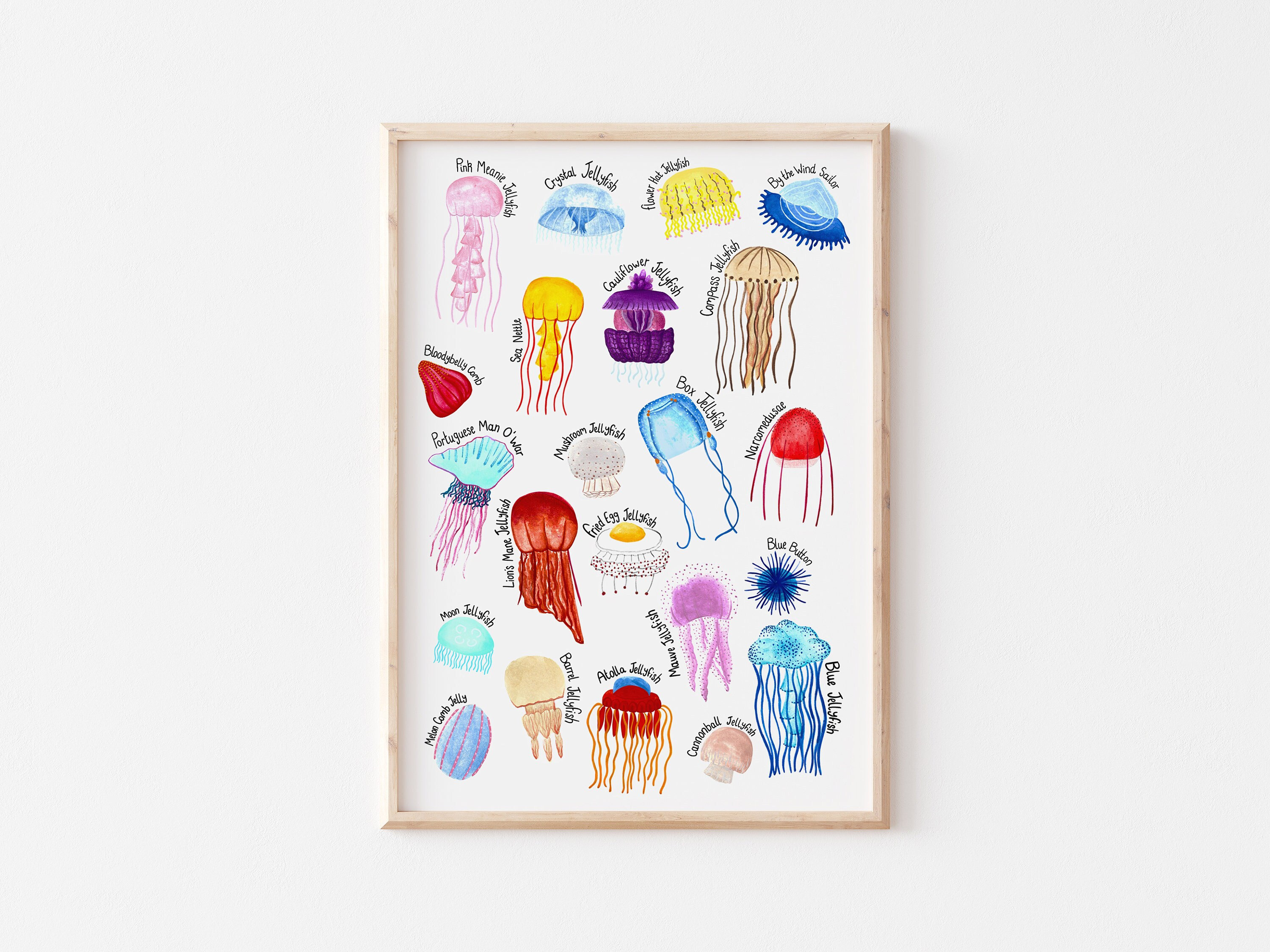 Jellyfish Types Poster Art Print | Jellies of the Sea | Cute Sea Creature Print | Marine Life Nursery Decor | Quirky Sea Life Gift