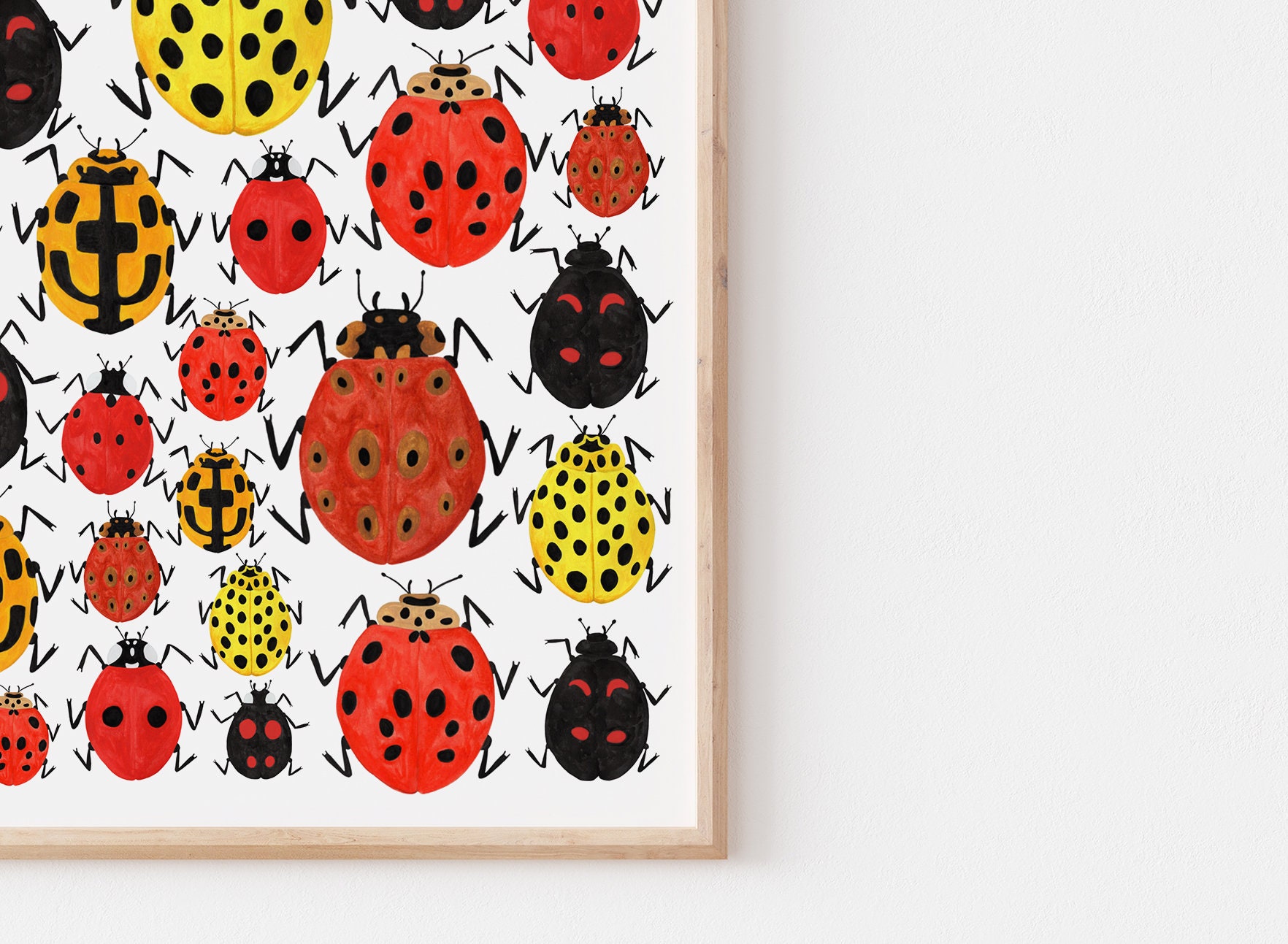 ladybird-collection-types-of-ladybird-print-ladybird-etsy