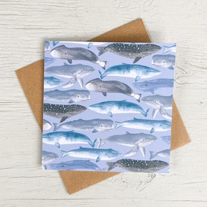 Carte de baleine à fanons | Carte Sea Life | Carte de la vie marine | Récif corallien de Zazzle.be Liste d'envies Vous avez des idées ? Carte nautique | océan carte | carte d'anniversaire | Carte de remerciement