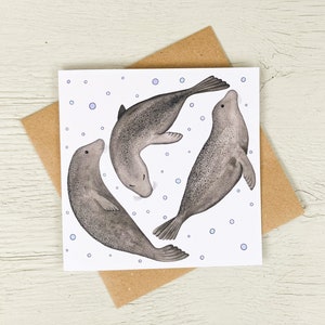 Biglietto di auguri con cucciolo di foca grigia / Mammiferi marini / Fauna selvatica britannica / Biglietto con vita marina / Biglietto di compleanno per subacquei e amanti dell'oceano