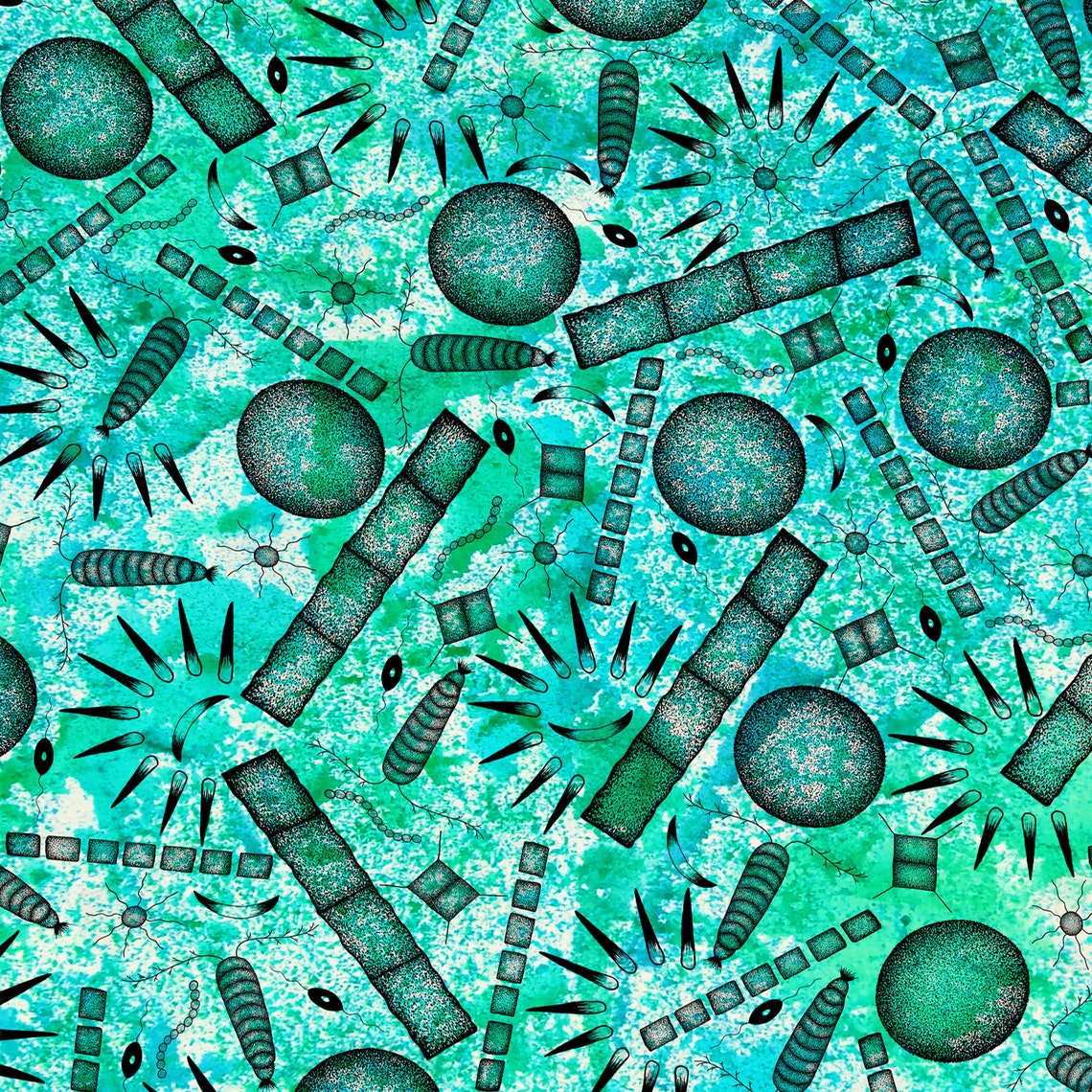 Plankton Recycled Blank Greeting Card Zooplankton and Etsy