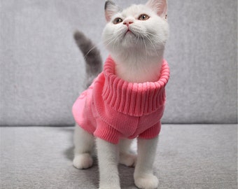 cute kitten clothes
