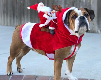 ohio state dog cheerleader outfit