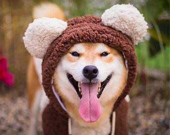 paddington outfit for dogs